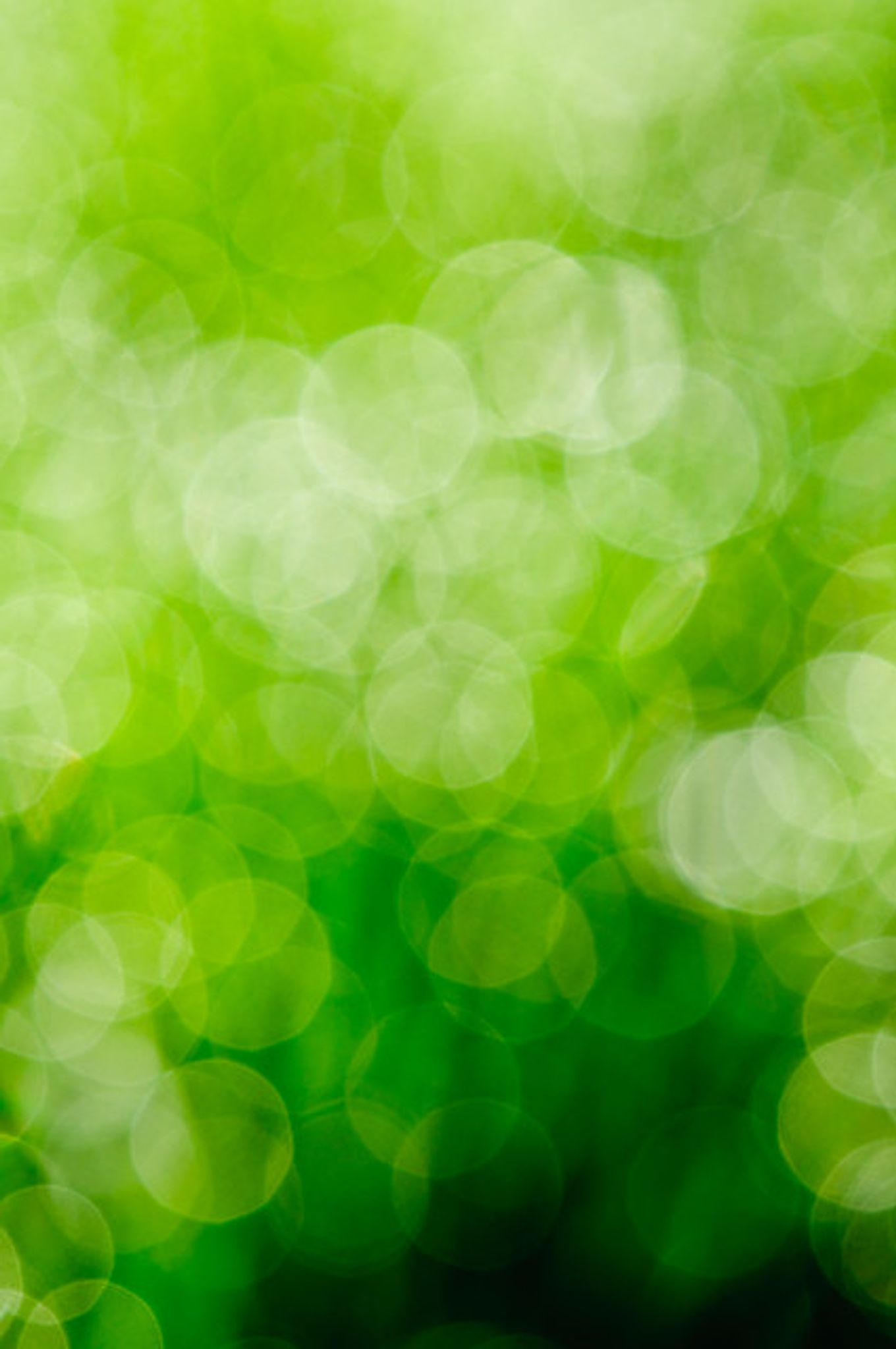 Cover photo for Mitchell W. Light's Obituary