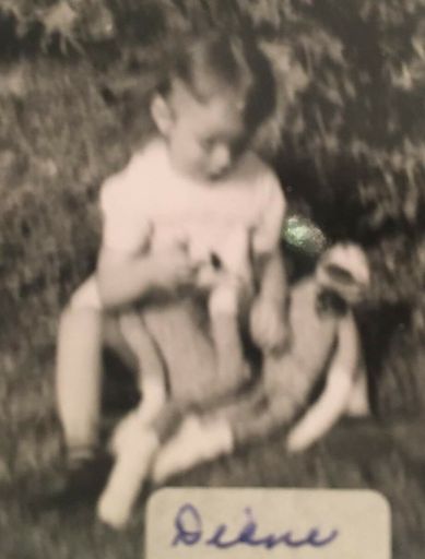 Diana L Rogers photo gallery thumbnail 35 of 65
