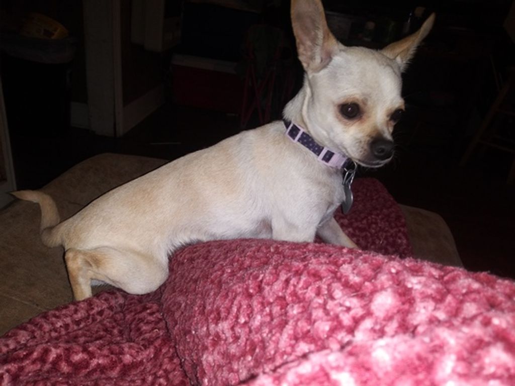 Spirit Browder Profile Photo