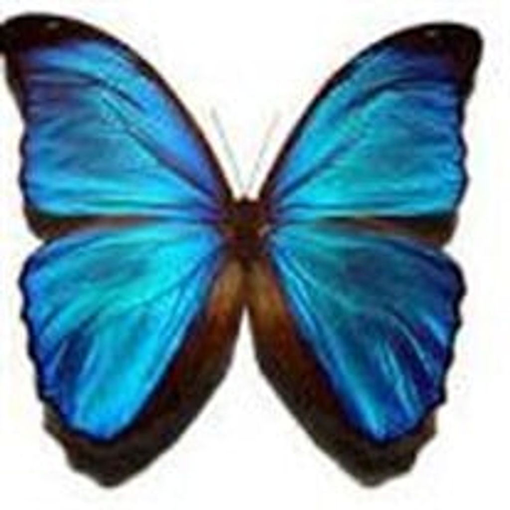 Phaydra Zane Epperly