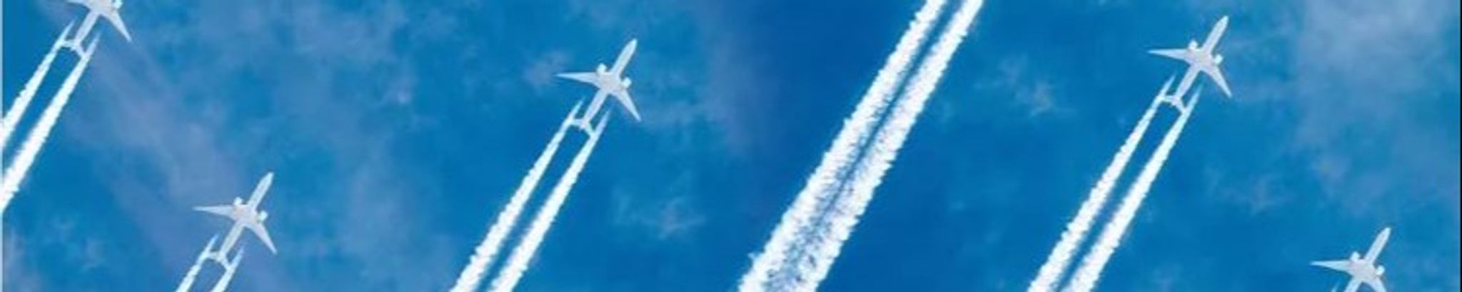 Cover for Carmen A. Gliozzi's Obituary