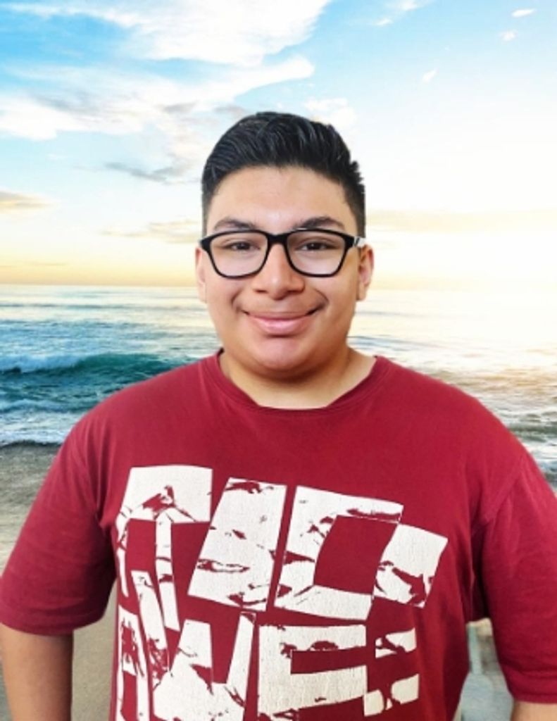 Nicolas Alejandro Mejia-Anaya
