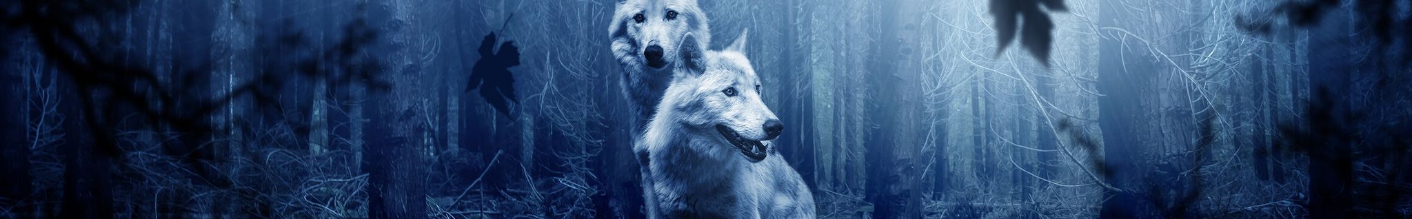 Cover for Ann Ellen Parrott's Obituary