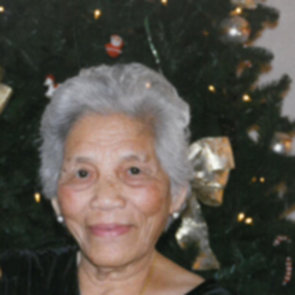 Nghiem Thi Le Profile Photo
