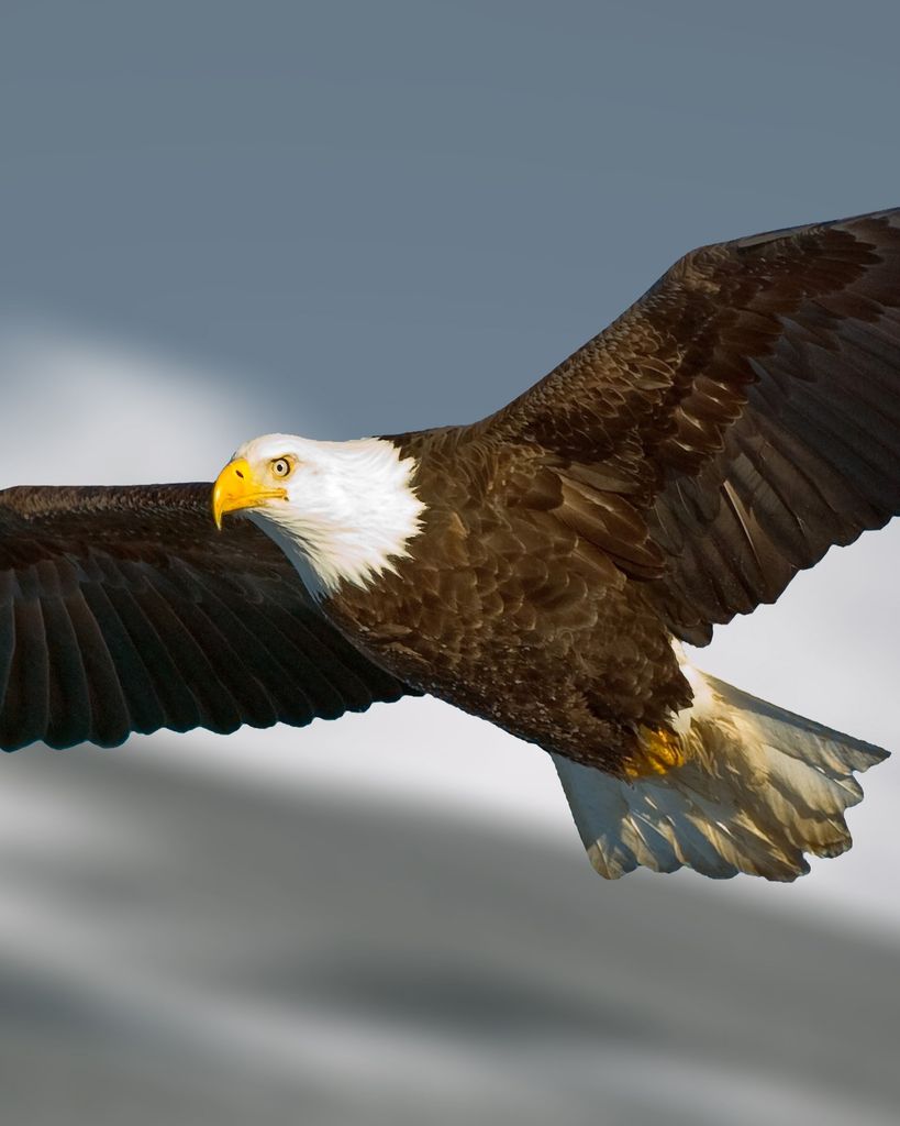 Christine Y Smith Profile Photo