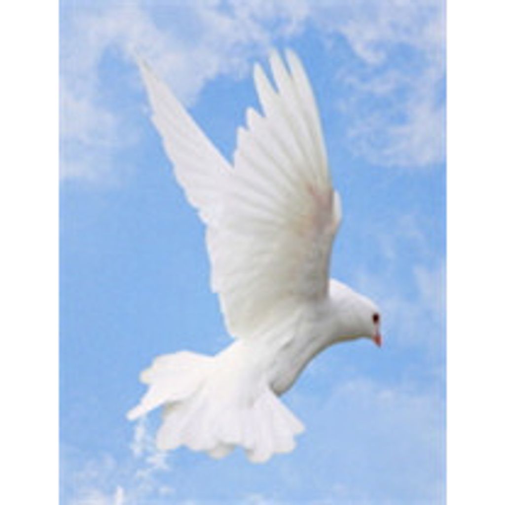 Dirk Deone Snell Profile Photo