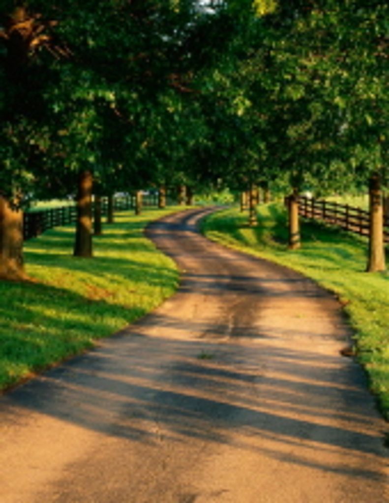 Walter Burt Sheffield