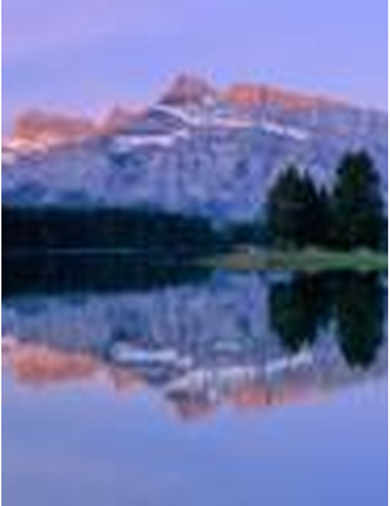 Linda Cabaniss Shuck