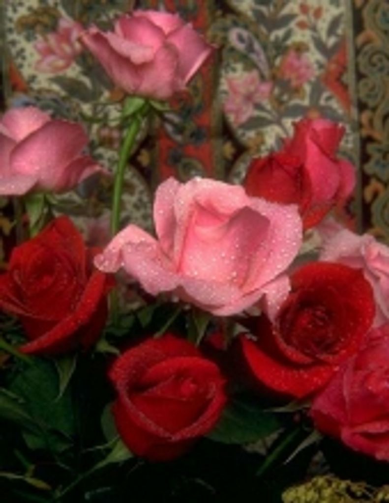 Phyllis Lucille Lamb