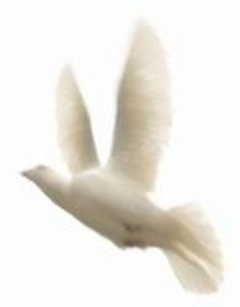 Bobby Lee Hembree Profile Photo