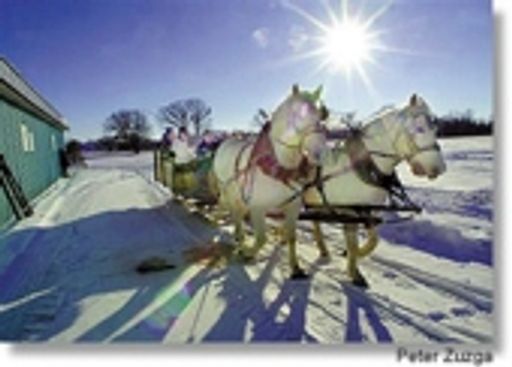 David E. Evans photo gallery thumbnail 3 of 5