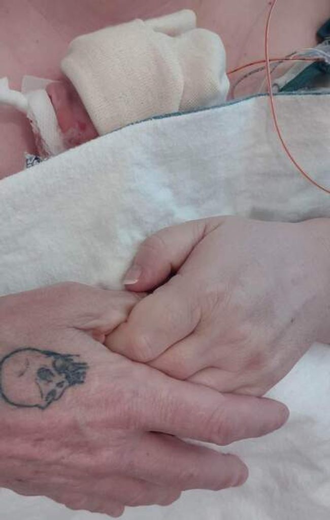 Paisley Ann Downes Profile Photo