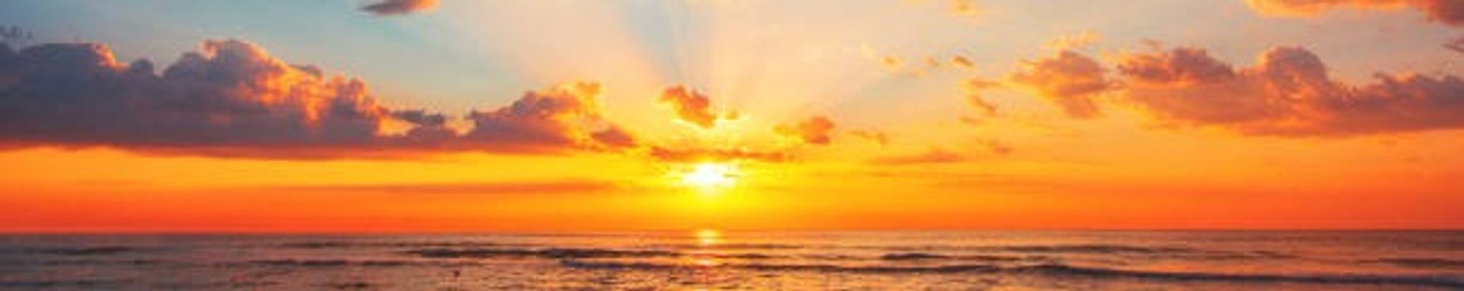 Cover for Rachael Lynn Rakes's Obituary