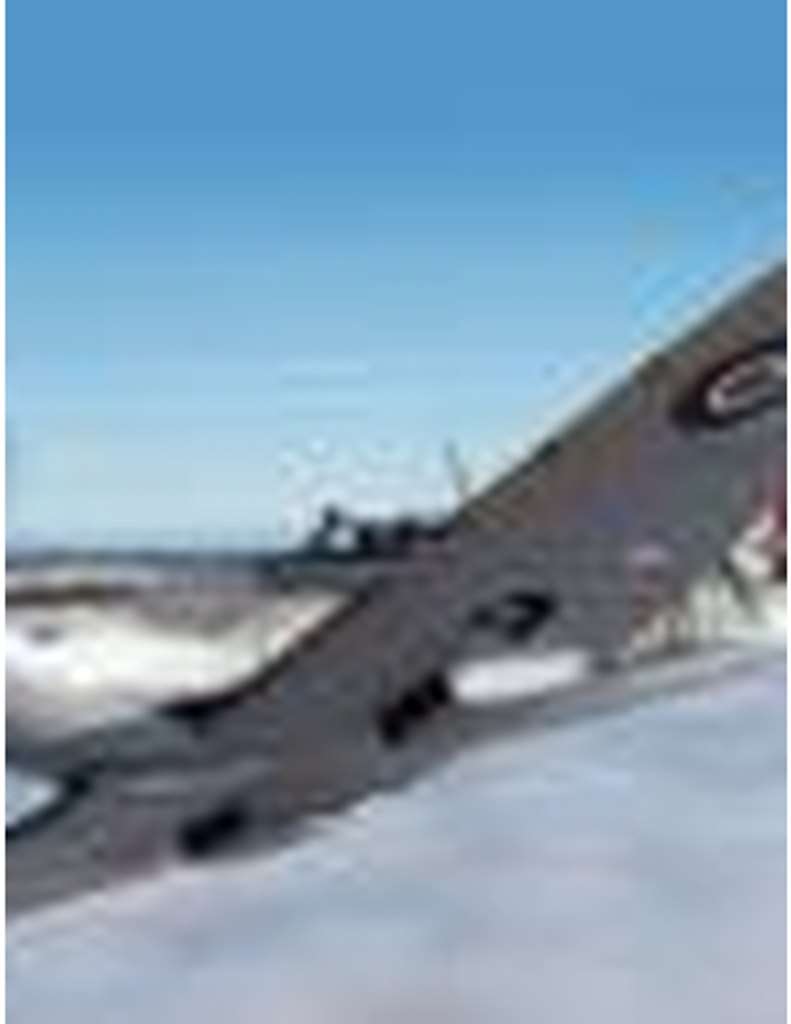 Troy Miller Raines, Iii