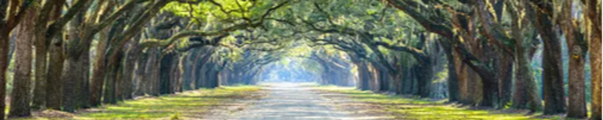 Cover for Theresa C. Veselka's Obituary