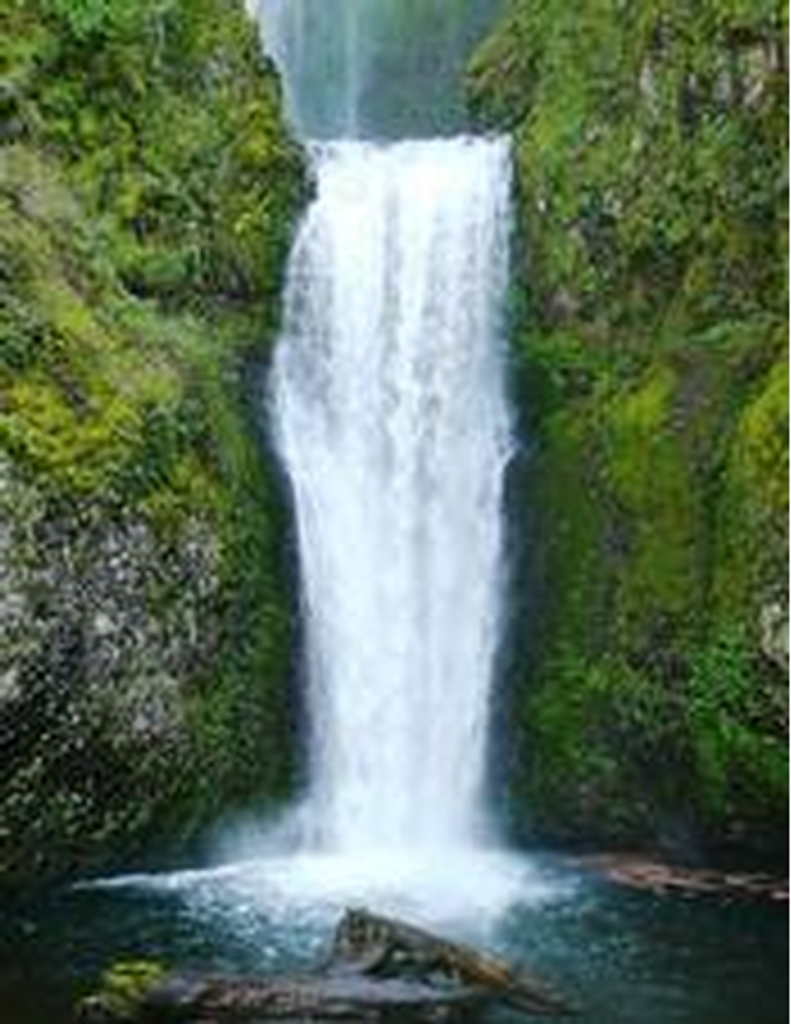 Joey Edward Robinson