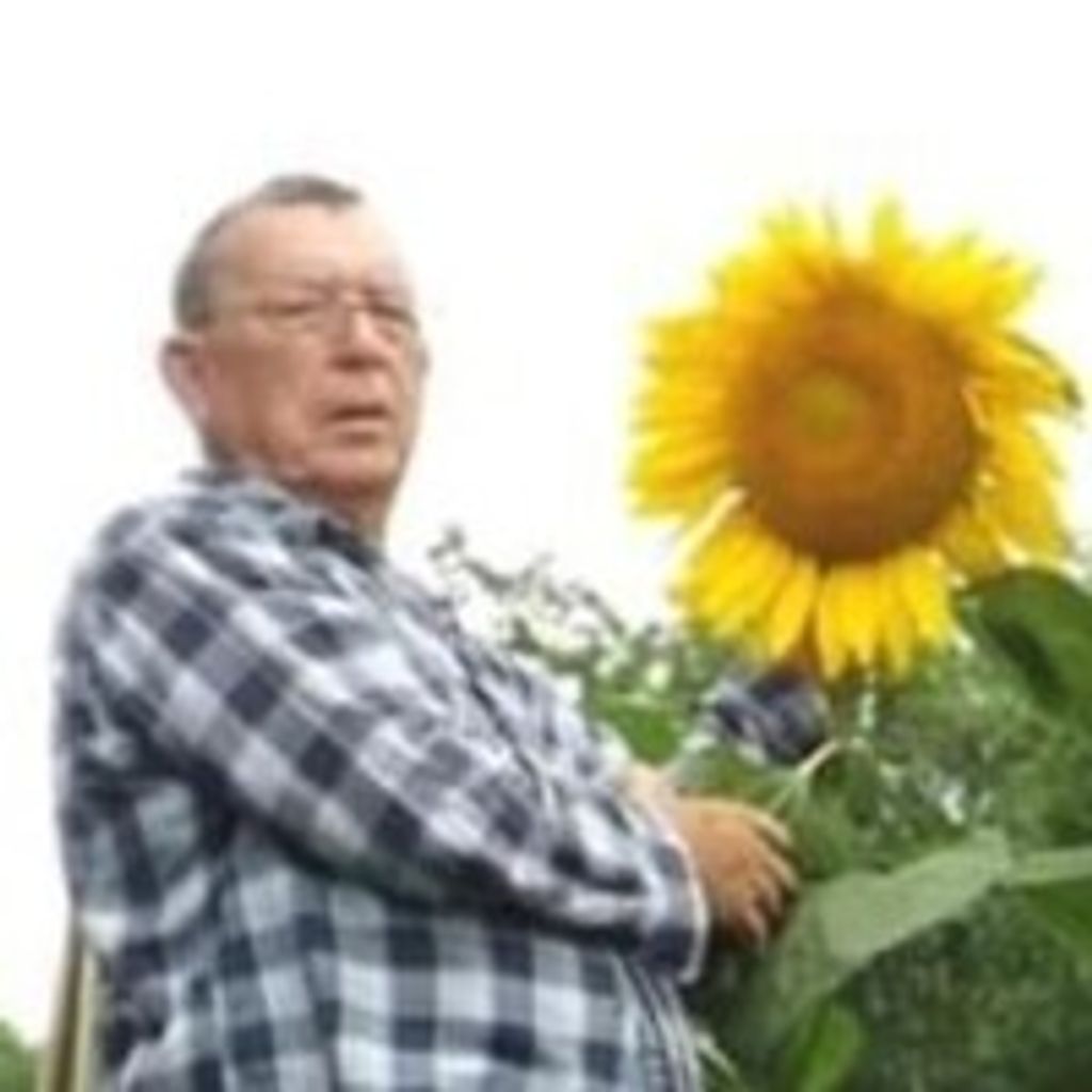 William Henry Mettlen Profile Photo