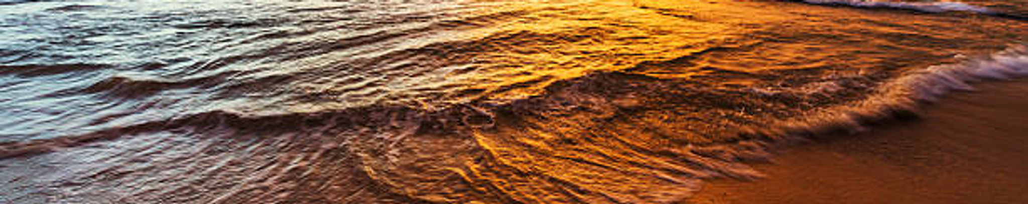 Cover for Andre Jacques Abraham Antoine's Obituary