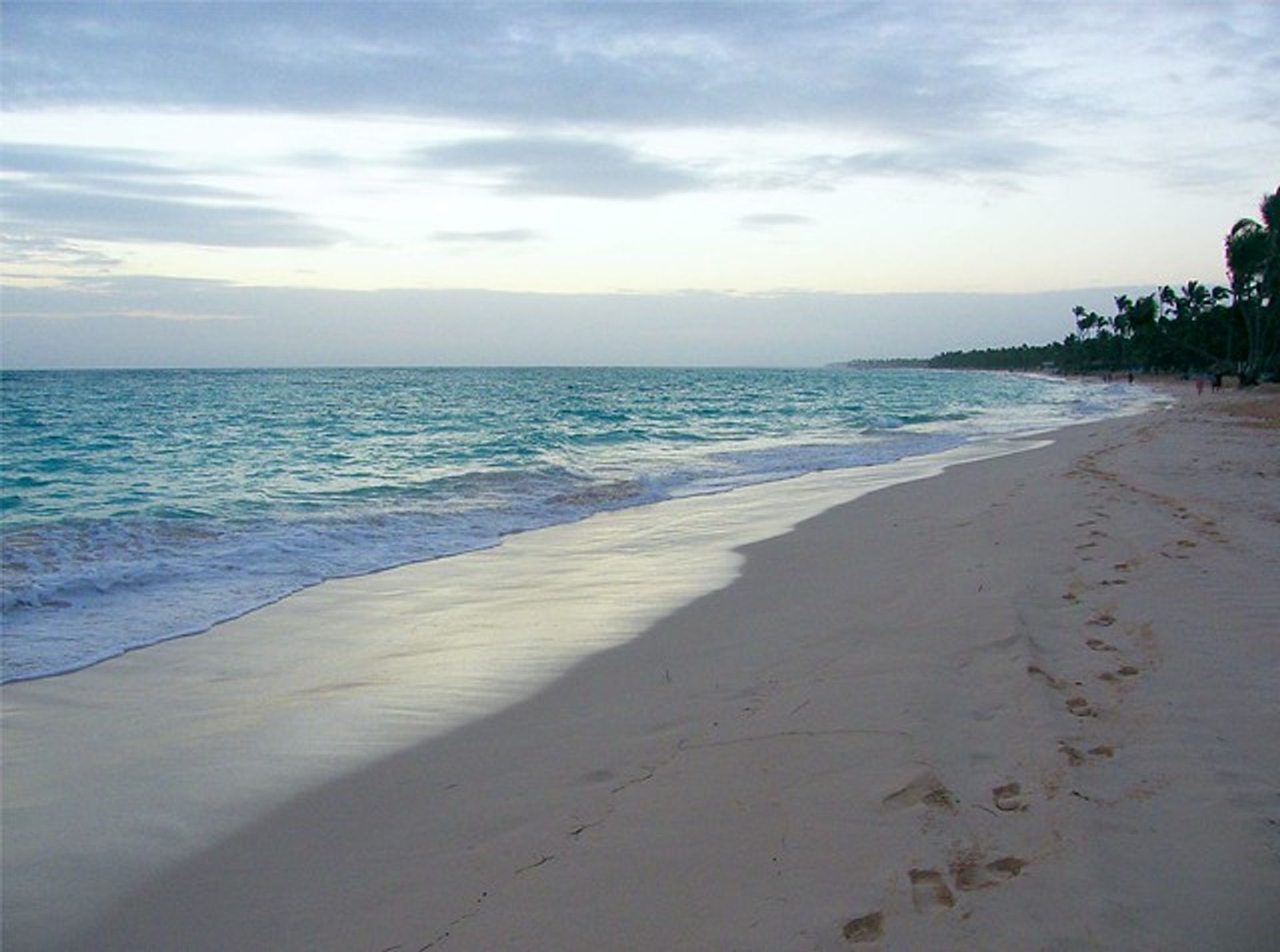 Cover photo for Tona Reynolds's Obituary