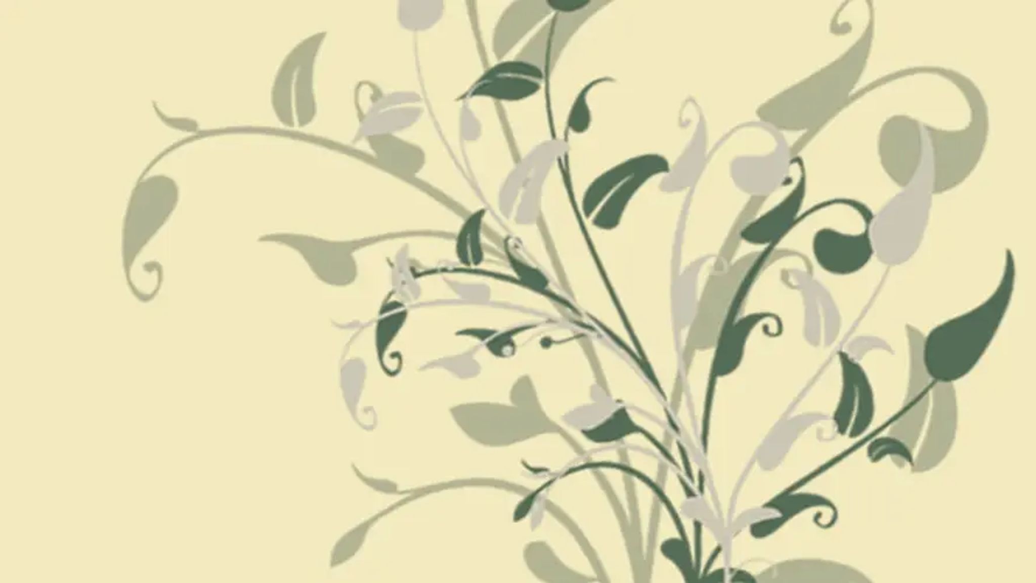 Cover for Joann Stone's Obituary