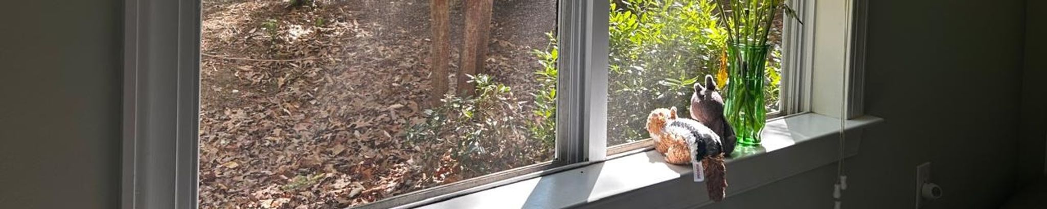 Cover for Levi Mikhail Mohammed's Obituary