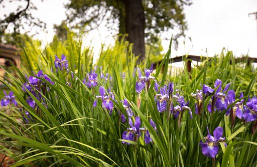 Raymond Gerald Slossen Profile Photo