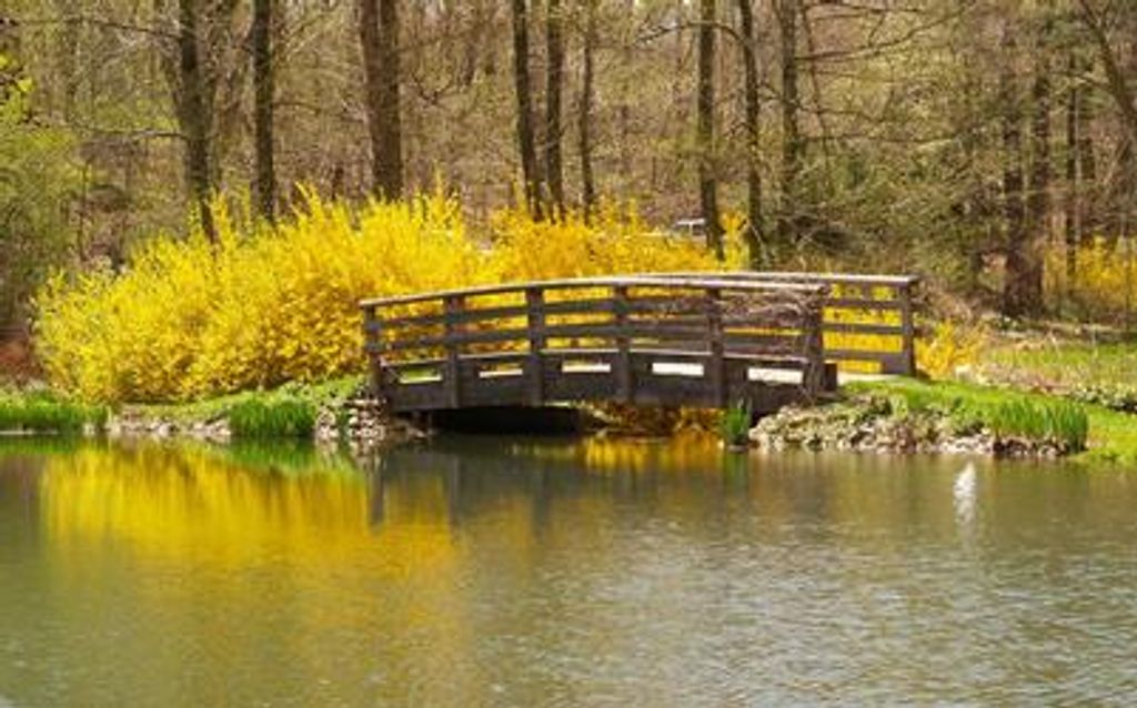 Helen L Hourtienne Profile Photo