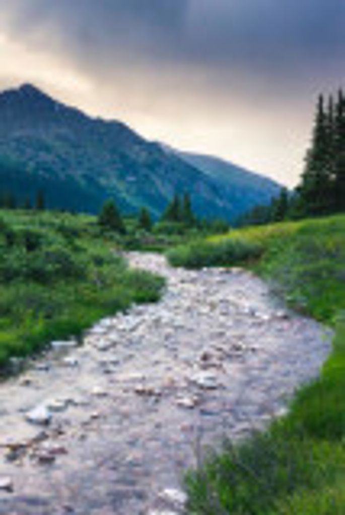 Benny Benjamin Profile Photo