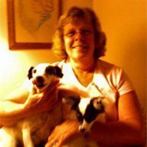 Joanne Elizabeth Golden Profile Photo