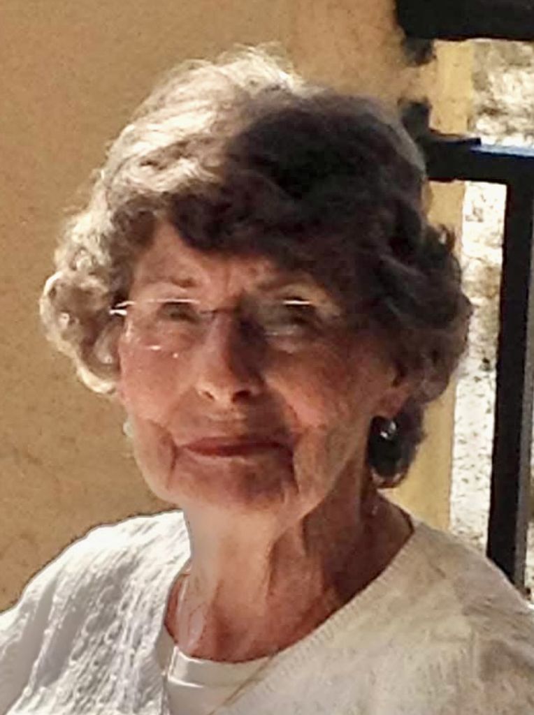 Carleen Ann (Schoonover)  Aaron