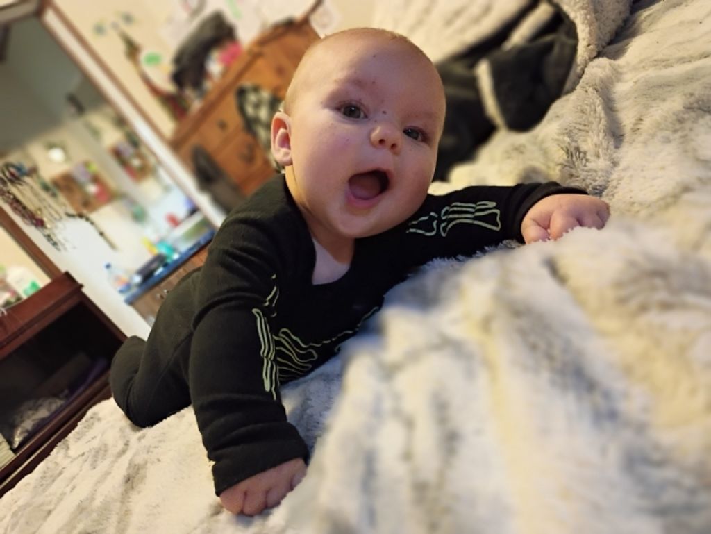 Maximus Bruce Adventure McJunkins