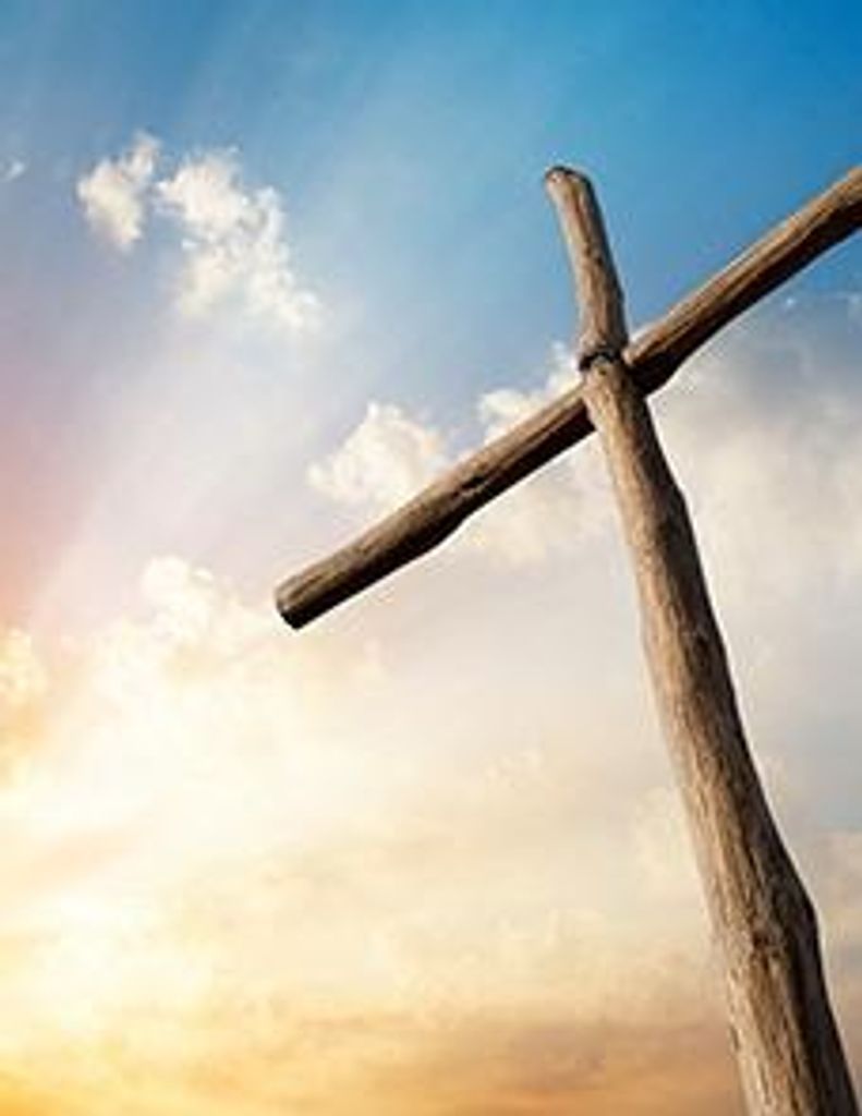 Alberto Rodriguez Profile Photo