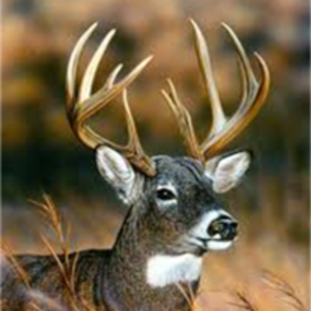 Jeffrey Glenn Bailey