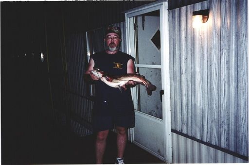 David Marler photo gallery thumbnail 96 of 120