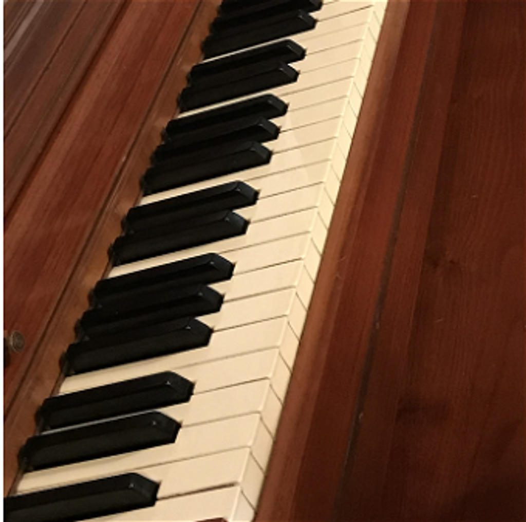 Rachel M. Lynn Profile Photo