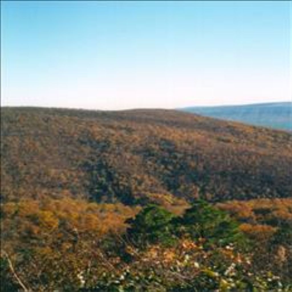 Charles Fredrick Baumann