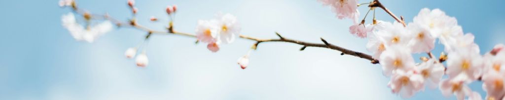 Cover photo for Rachael Balangue Pengson's Obituary