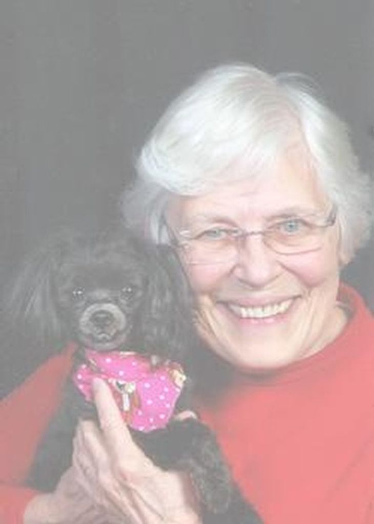 Jo Ann Casto Profile Photo