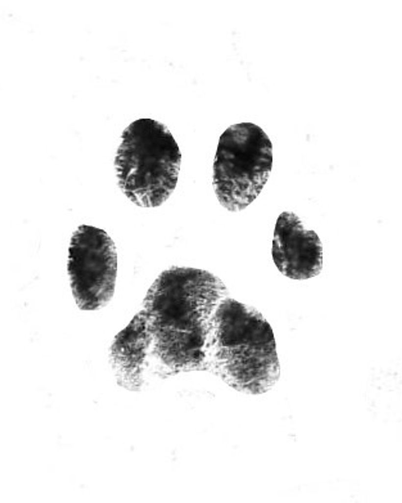 Donna Northrup Profile Photo