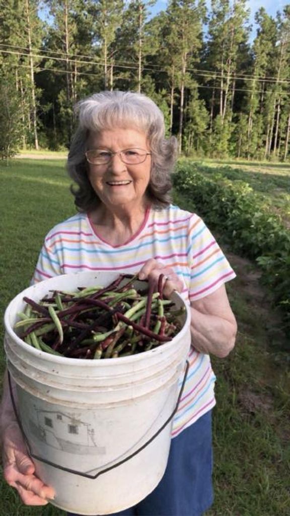 Mrs. Carolyn Stuart Farlow Profile Photo