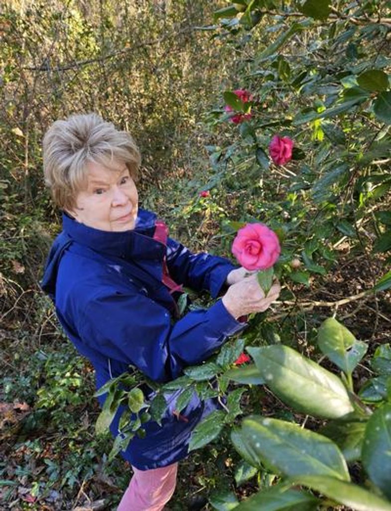 Mary Kell Gibson Profile Photo