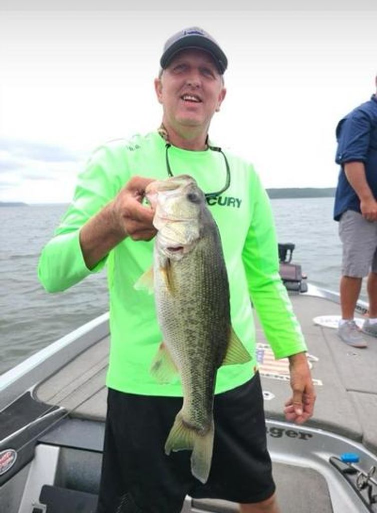 Scott Whitehead Profile Photo