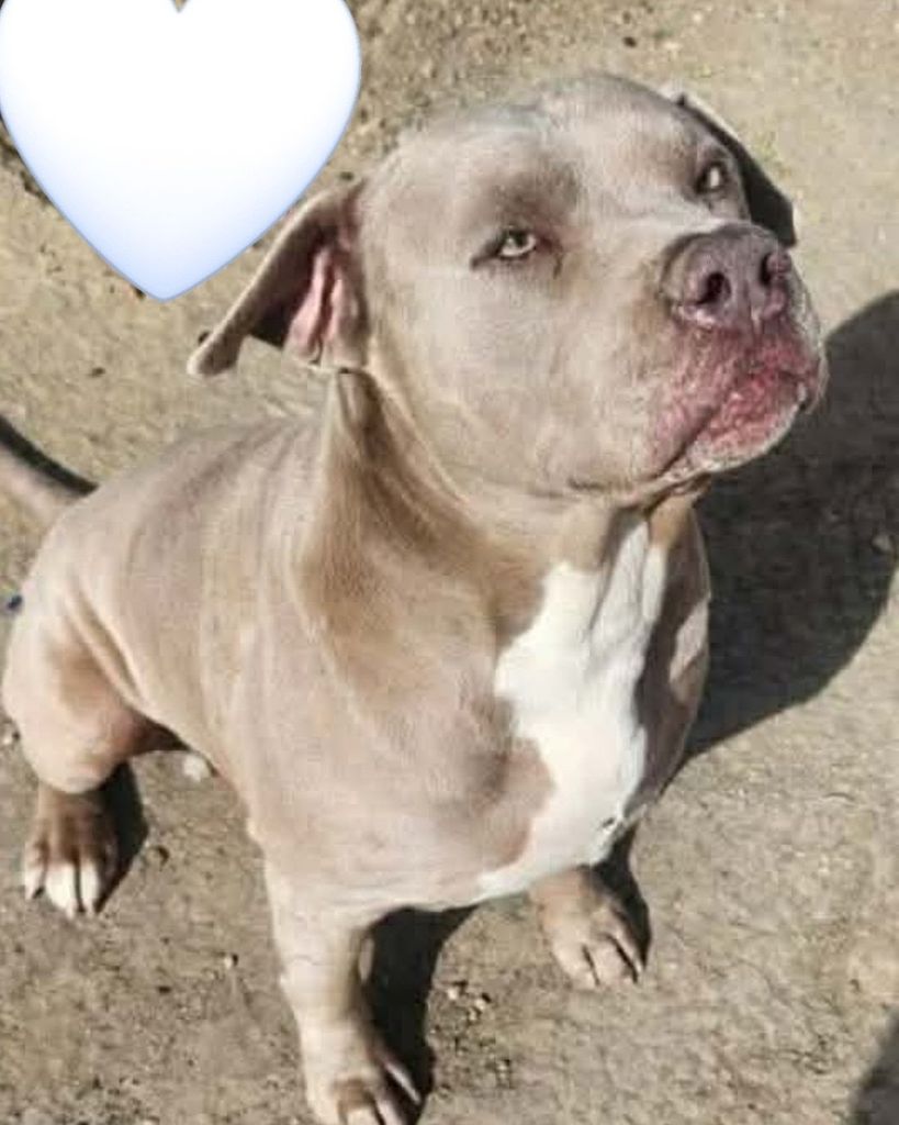 Copper 🖤 Profile Photo