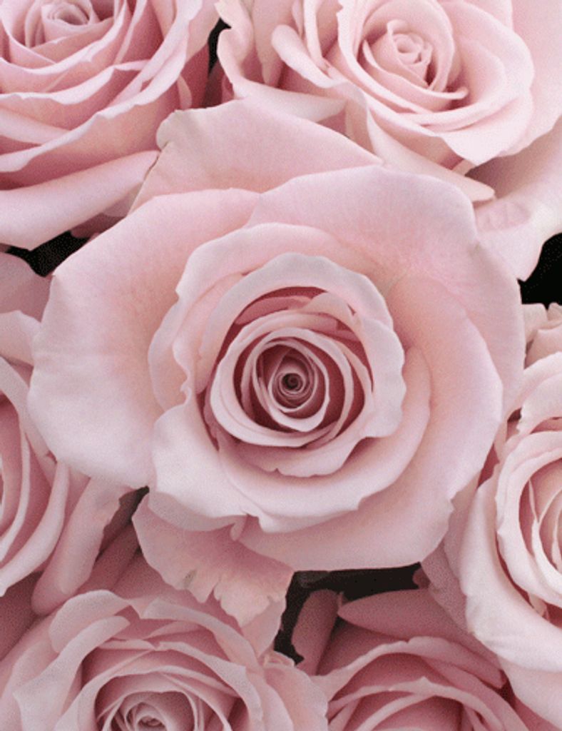 Patricia Elnora Hamm Profile Photo