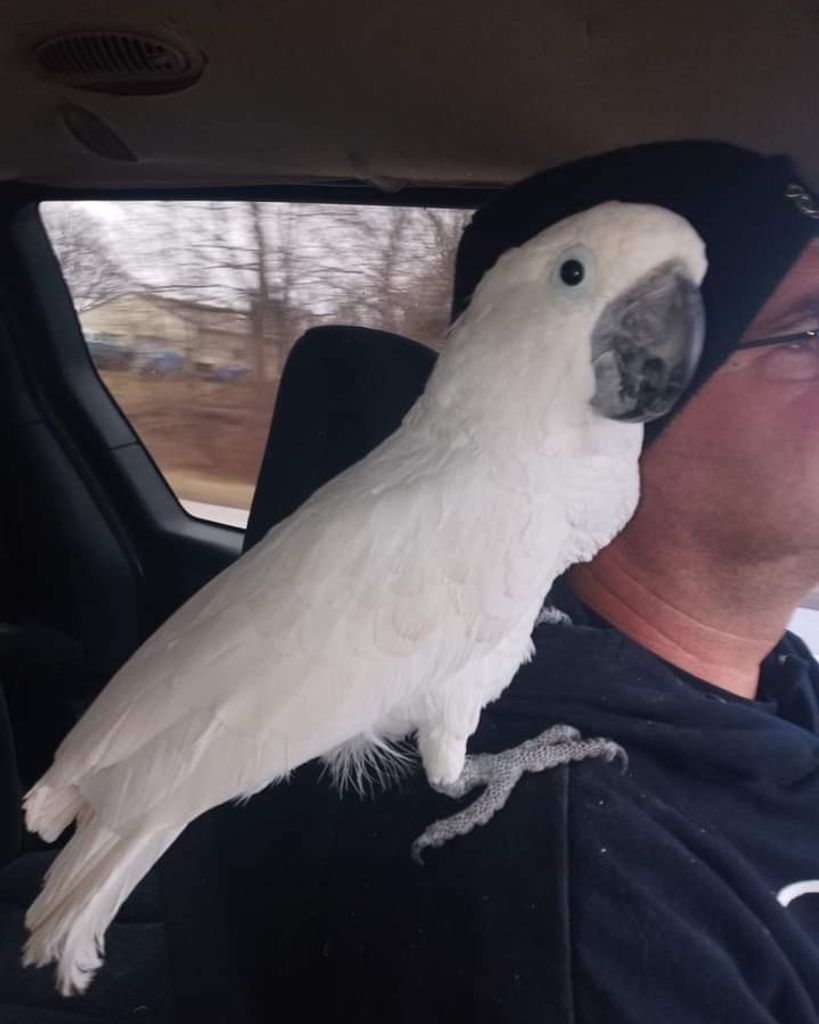Elvis "Pretty Bird" Kincaid