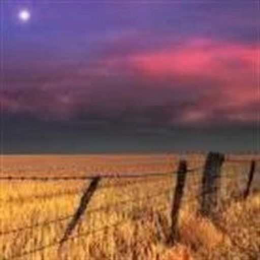 Christopher Donez Profile Photo