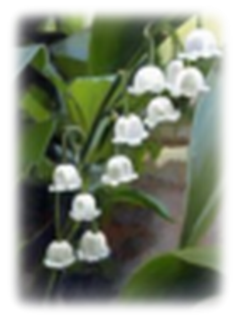 Mildred  Mary (Virtue)  Elliott