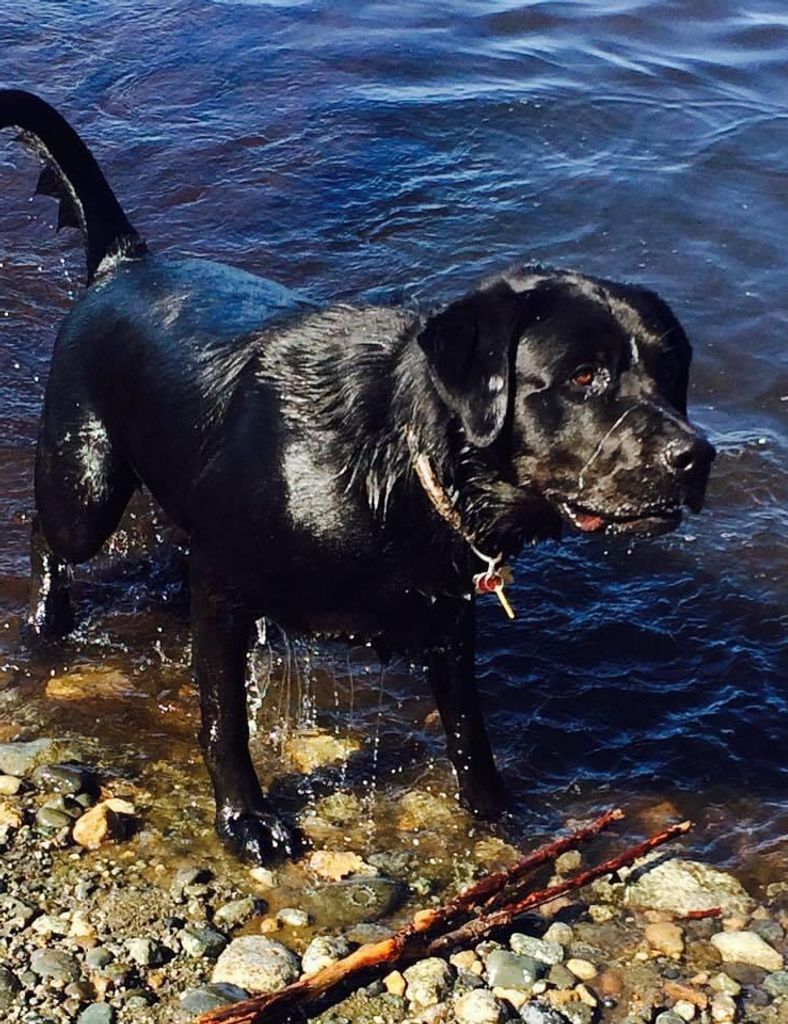 Ruger Hilty Profile Photo