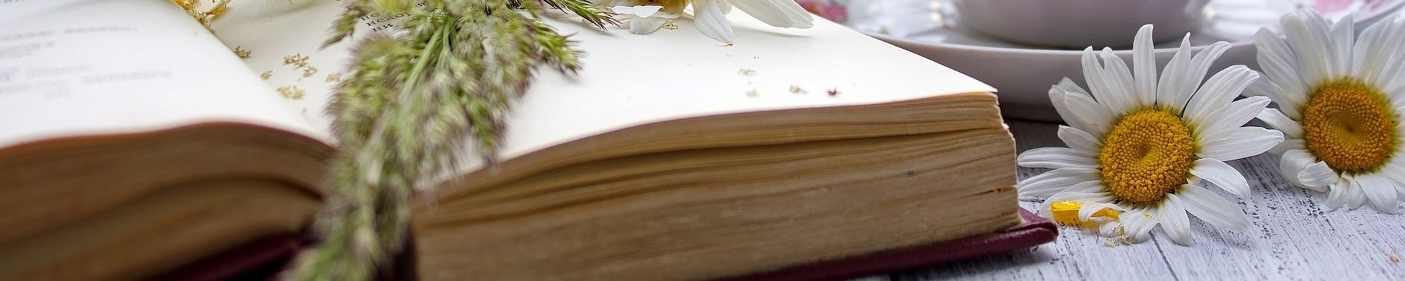 Cover for Beverly B Pratt's Obituary