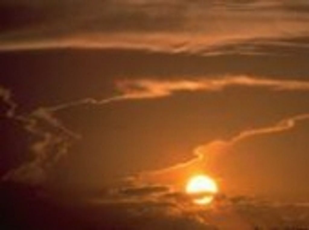 Mary Mildred Freeman